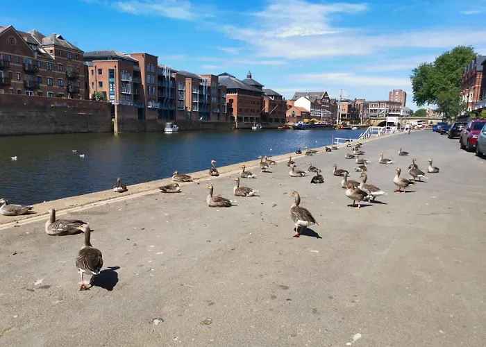 Cosy Loft Retreat Close To City Walls & Minster Apartamento York